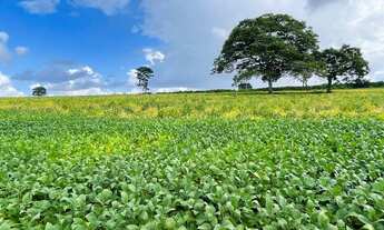 Imagem 2: Fazenda/Sítio/Chácara para venda possui 72600 metros quadrados