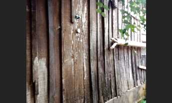 Imagem 4: Casa de Madeira ( peroba rosa