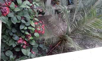 Imagem 3: SOBRADO DE VILA (REFORMADO) / 156 M2 / SEM CONDOMÍNIO / 3 QUARTOS / SUPER TERRAÇO / HOME