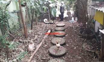 Imagem 7: Belo Sobrado de 3 Dormitórios para Venda na Vila Clementino com Excelente Localização nas