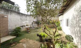 Imagem 6: Casa de Rua - Casa 4 quartos, sendo 1 suíte