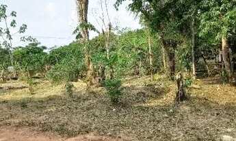 Imagem 2: Terreno Iranduba Caldeirão Algumas plantações. Tem água encanada Eletricidade L