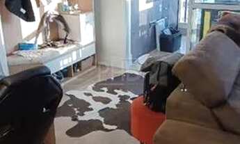 Imagem 4: Apartamento à venda, 2 quartos, 1 suíte, 2 vagas, Santa Paula - São Caetano do Sul/SP