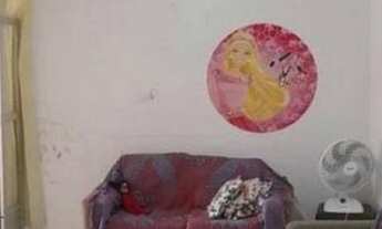 Imagem 2: Casa no panorama