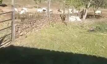 Imagem 4: Vende-se uma bela fazenda de 93 alqueires