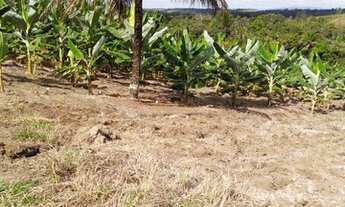 Imagem 3: Vendo excelente fazenda agricultura em Valença