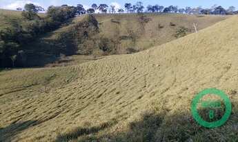 Imagem 7: TERRAS PECUÁRIA | 24,20 HA | REGIÃO DE POUSO ALEGRE MG