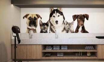 Imagem 4: Apartamento em Nossa Senhora das Graças