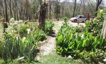 Imagem: Chácaras de 2.500m², com água de poço