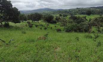 Imagem 7: Fazenda de 93 alqueires em Pirenópolis-GO