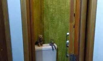 Imagem 7: Apartamento em Praça Marechal Deodoro - Higienópolis - São Paulo/SP