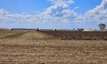 Imagem 3: Fazenda arrendamento 1.050 hec em montes claros Goiás
