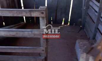 Imagem 5: Chácara 3,59 alqueires (17,38 hectares) Guapó - Go