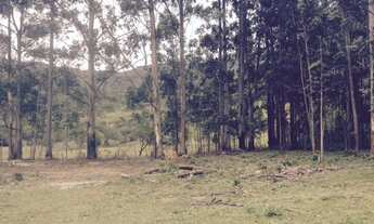 Imagem 7: SÍTIO - SÃO JOÃO DO RIO VERMELHO - SC