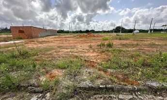 Imagem 2: Lote para venda possui 16x20 com 320 metros quadrados em Praia do Frânces - Marechal Deodo