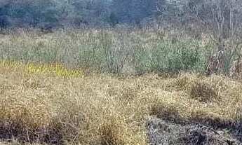 Imagem 2: Lote em Rua Caminho D, lote 21 - Jardim Primavera - São Pedro/SP