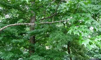 Imagem 7: Lote/Terreno para venda possui 20000 metros quadrados em Campo Largo - Jarinu - São Paulo