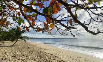 Imagem 5: Alugo por temporada a 100 metros da praia