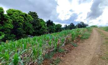 Imagem 3: Sítio à venda, 96800 m² por R$ 500.000,00 - Centro - Guaraniaçu/PR