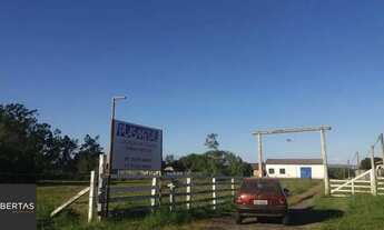 Imagem 6: Sítio 1 dormitórios à venda Pedreira Nova Santa Rita/RS