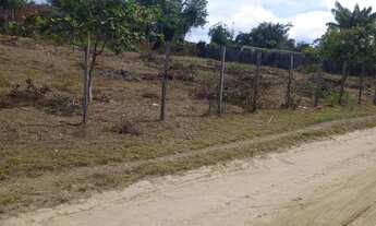 Imagem: Terreno no Puraquequara 4 lotes juntos