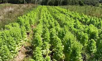 Imagem 3: Terreno a venda a 18min do centro de Ibiúna-SP