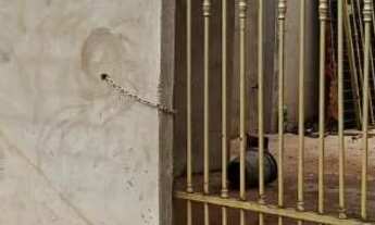 Imagem 3: Lote Casa com 2 banheiros