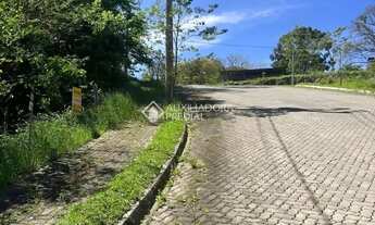 Imagem 6: Loteamento Bosque das Araucárias - Linha Imperial