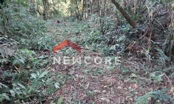 Imagem 5: Chácara em Rua São Josemaria Escrivá - Colônia Murici - São José dos Pinhais/PR