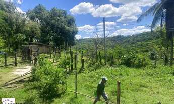 Imagem 4: FAZENDA RURAL em SANTO AMARO - BA, Zona Rural