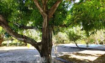 Imagem 5: Sitio na zona sudeste de Teresina-PI