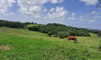 Imagem 3: Sitio diferenciado em Aguas Claras Viamão, com água mineral, aceita permuta por imóvel no