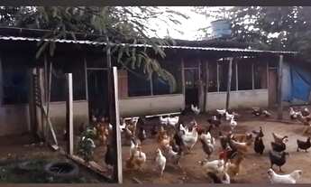 Imagem 3: VENDO SÍTIO RIO PRETO DA EVA