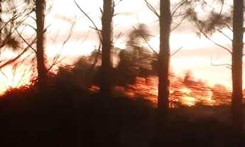 Imagem: Terreno para chácara 2.000 m²