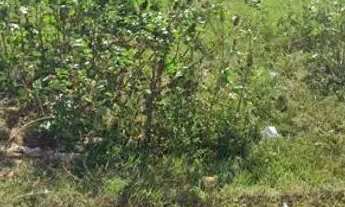 Imagem: Terreno no portal do Sol, extremos