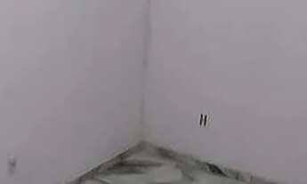 Imagem 4: 2 Quartos com terraço em Brás de pina