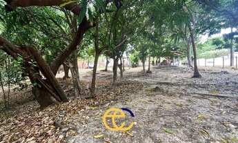 Imagem 4: TERRENO ARAÇAGY