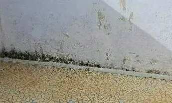 Imagem 4: Terreno à venda, 227 m² por R$ 780.000,00 - Vila Santa Teresa - Santo André/SP