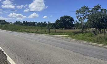 Imagem 6: Fazenda Agropecuária a Venda com 52 Alqueires mineiros