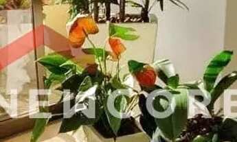 Imagem 2: Apartamento em Rua Alcides Concuruto - Jardim Panorama - Bauru/SP