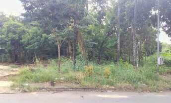 Imagem 6: TERRENO - Terreno Comercial