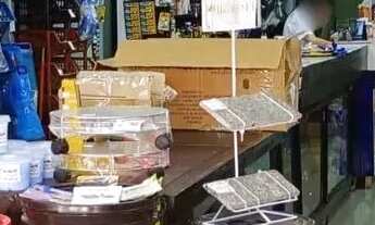 Imagem 3: Material de Construção bem localizado na Zona Leste. Ref 1626