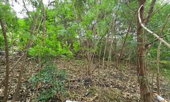 Imagem 2: Terreno - Pinheiros - 477m²