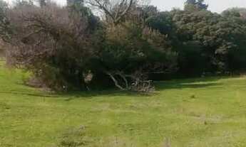 Imagem 2: TORRO 3 terrenos em condomínio fechado GuaibaRS