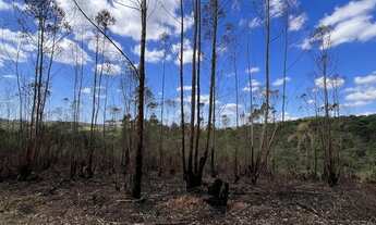 Imagem 7: Lotes de 1.000m² em Ibiúna Projeto em Lançamento com Alto Potencial de Valorização
