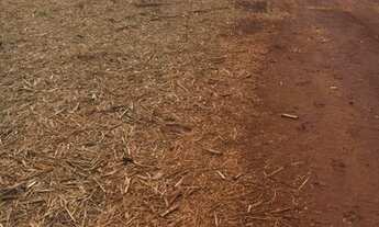 Imagem 4: Fazenda em santa vitória 37 alqueirão 11.840.000.00 ( ja - ali