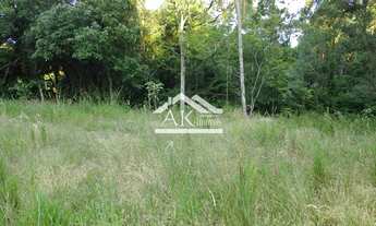 Imagem 6: Terreno às margens da BR 116 em Picada Café na serra gaúcha