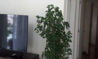 Imagem 4: APARTAMENTO MOOCA 120m 3 DORMITÓRIOS 1 SUÍTE VARANDA 2 VAGAS