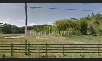 Imagem 7: Terreno Próximo ao Colégio Agrícola em Camboriú