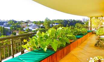 Imagem 5: Apartamento Real Parque com vista eterna do parque